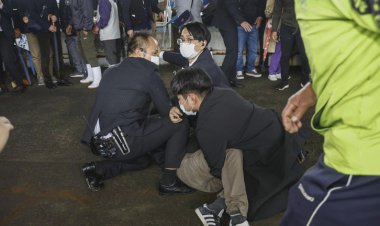Japanese PM targeted in ‘smoke bomb’ attack