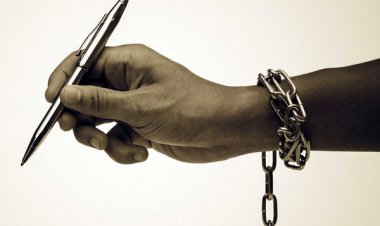 Alarming media scenario in Chhattisgarh state of India: Report of the Fact-Finding Team 