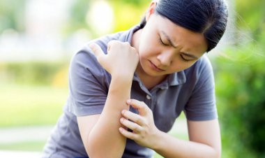 Understanding autoimmune diseases: causes, symptoms, and treatments