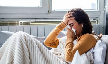 Seasonal Shifts and Susceptibility to Illness: Understanding the Why and How