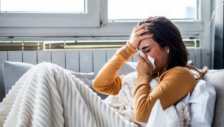 Seasonal Shifts and Susceptibility to Illness: Understanding the Why and How