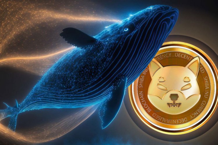 Shiba Inu (SHIB) Whales Inspire Ambitious SHIB Price Surge