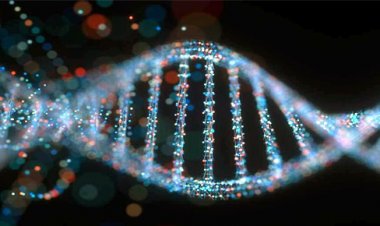 The absorbing world of DNA computing: where biology meets bits
