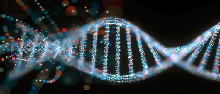 The absorbing world of DNA computing: where biology meets bits
