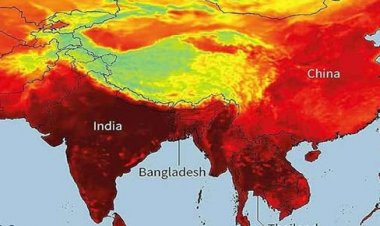 Alarming Survey Reveals Indian Concerns About Climate Change