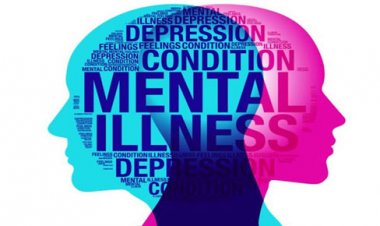 Brain Breakthroughs: Scientists Unlock Secrets of Object Recognition and Mental Health