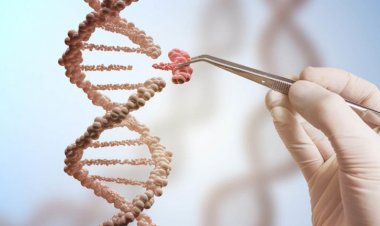 CRISPR: A Gene-Editing Revolution with Ethical Thorns