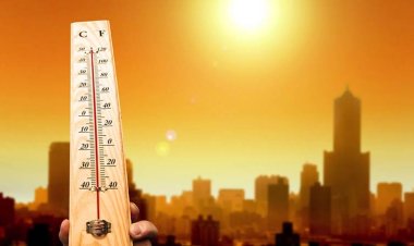 UN Calls for Global Action on ‘Heat Epidemic’