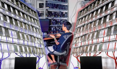 Phone Farming: Turning Smartphones into Cash Cows