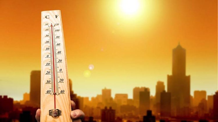 UN Calls for Global Action on ‘Heat Epidemic’