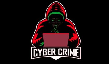 Cyber Crime Epidemic Grips Madhya Pradesh as India Battles Digital Fraud