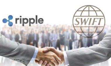 XRP Gearing Up for Potential Surge Amid Global Accumulation