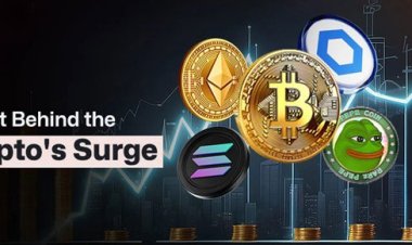 Crypto Market Insights: November Surge and Institutional Shifts