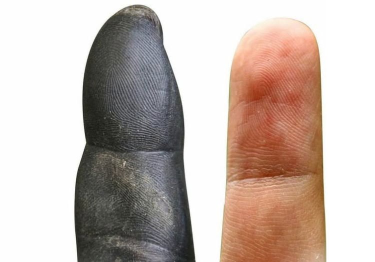 Humans Have More Primitive Hands Than Chimpanzees, Study Finds