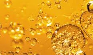 when protein powder should be taken - Giiava.com