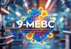 9-MEBC in Focus: A Dopaminergic Compound for Advanced Research