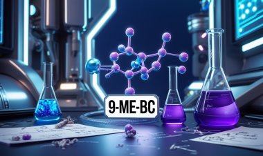 Embracing the Future: How Technology is Shaping Our World