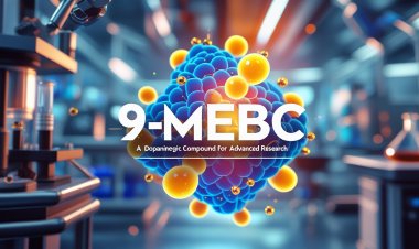 9-MEBC in Focus: A Dopaminergic Compound for Advanced Research