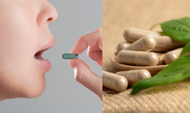 Buy High-Quality Nootropics Online – Shop Now