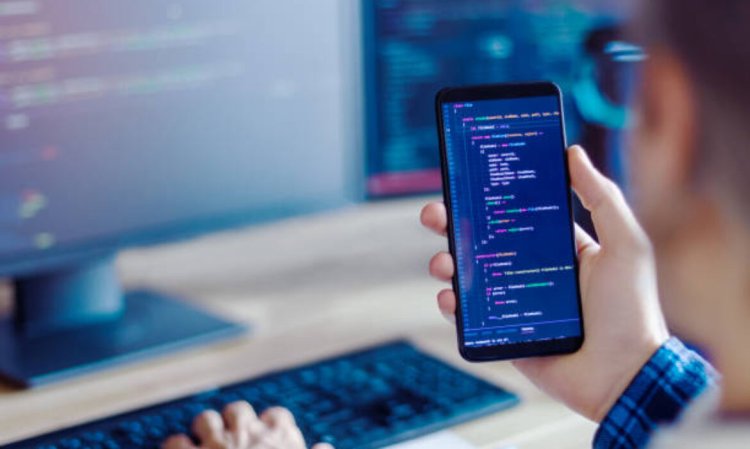 Top Web Design Services in Tampa | Custom Websites for Local Businesses