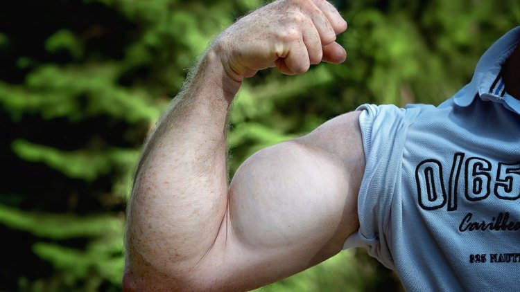 RAD 140 (Testolone): The Powerful SARM Transforming Muscle Growth
