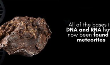 Life's Building Blocks May Have Arrived from Space: All DNA and RNA Bases Found in Meteorites for the First Time