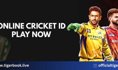 Online Cricket ID : What It Is and How to Get Started with Online Betting