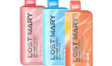 Lost Marys Vape: A Practical Guide for Everyday Vapers