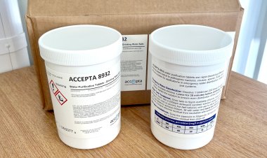 Top Best Chlorine Tablets for Drinking Water Purification