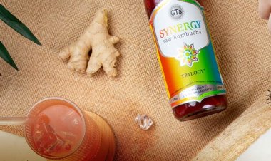 Exploring the Unique Flavors of Synergy Kombucha