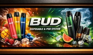 Bud Disposable And Pods System Modern Vaping Choices Explained