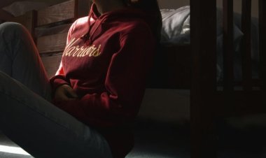 Elevating Wellness with MLS Mindful Therapy Solutions