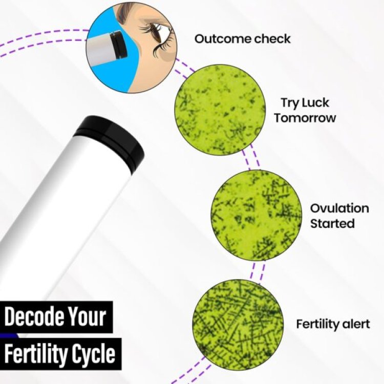 Knowhen Easy at Home Ovulation Test: A Simple, Natural Way to Track Your Fertile Days