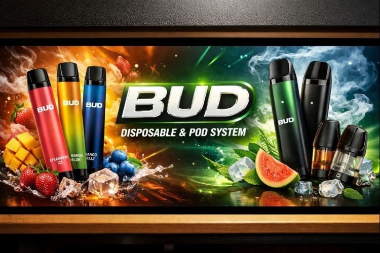 Bud Disposable And Pods System Modern Vaping Choices Explained