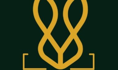 Brown Formal Shoes for Men: Elevating Style with Timeless Elegance