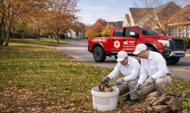 Pest Control Bradford: Professional Exterminator Services You Can Trust