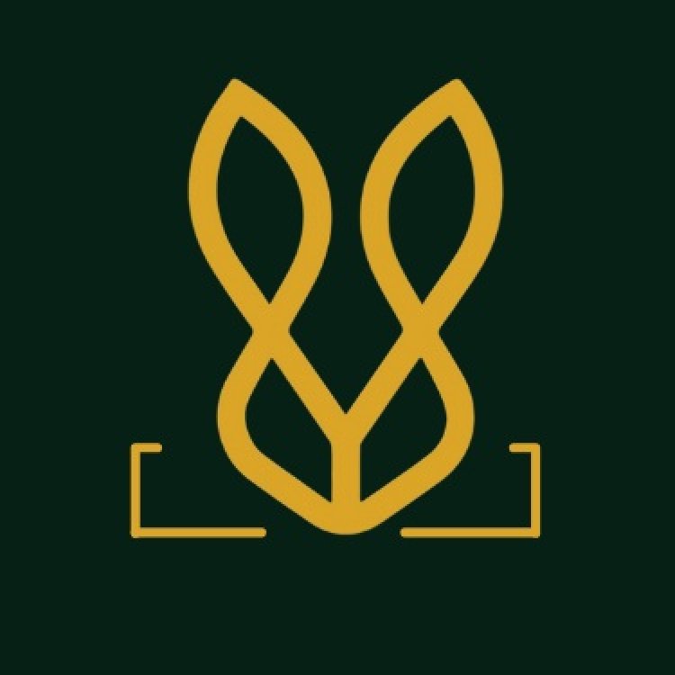 Brown Formal Shoes for Men: Elevating Style with Timeless Elegance