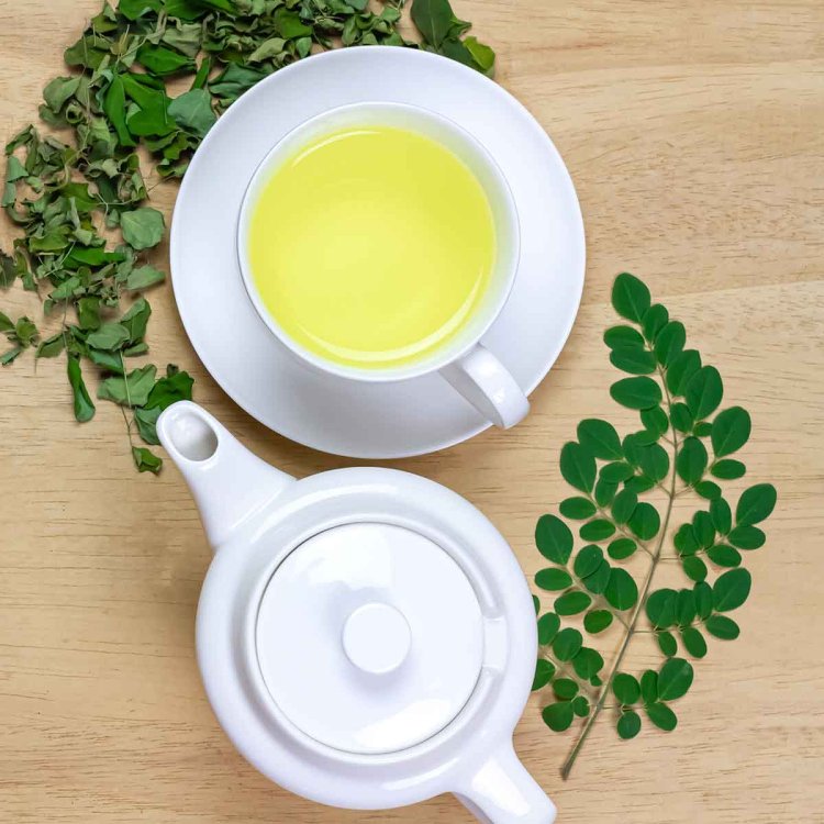 Moringa Leaf Tea: Benefits, Uses, and Daily Wellness