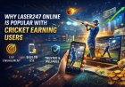 Why Laser247 Online Is Popular Among Cricket Earning Users
