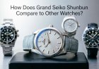 How Does Grand Seiko Shunbun Compare to Other Watches
