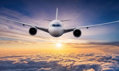 JFK Customs Wait Time