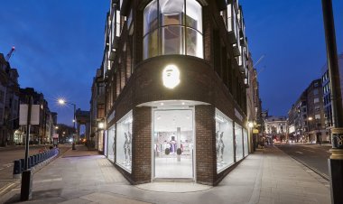 Bathing Ape Bape Shoes The Ultimate Guide to Iconic