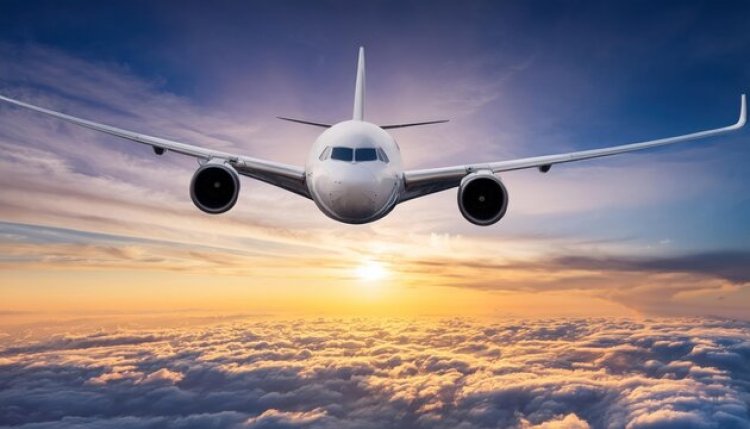 JFK Customs Wait Time