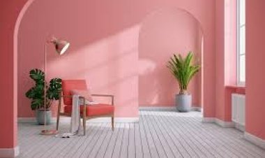 Simple Guide to Selecting the Right Wall Distemper Colour Combination for Your Home