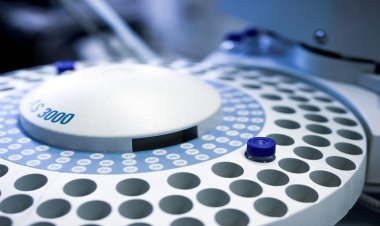 Decoding Life's Molecular Switches: How Structural Biology Is Illuminating the Path to Modern Medicine