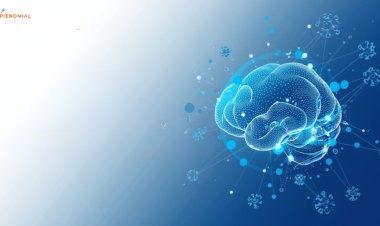 How KnolForge, KnolAI, KnolComposer, KnolPersona, and KnolModels Work Together as an Ecosystem