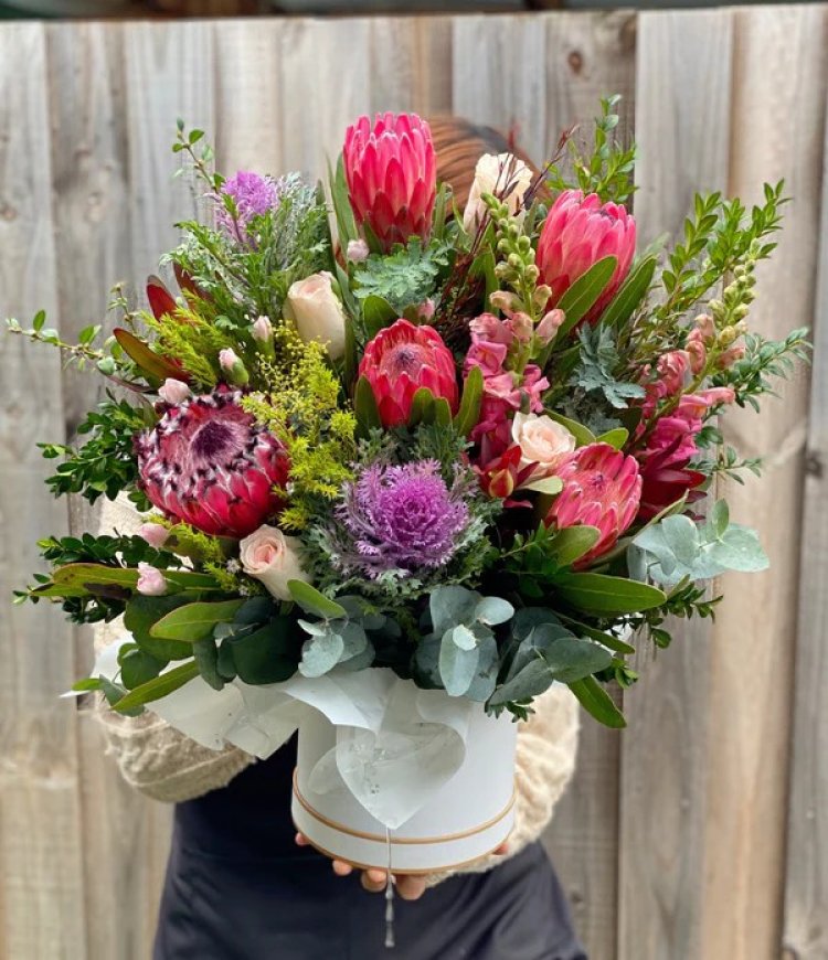Floral Expressions Reimagined for Vermont South and Surrounding Suburbs