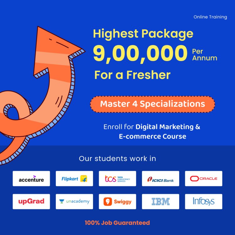 How to Get a High-Paying Entry-Level Job in the Digital Marketing Industry?