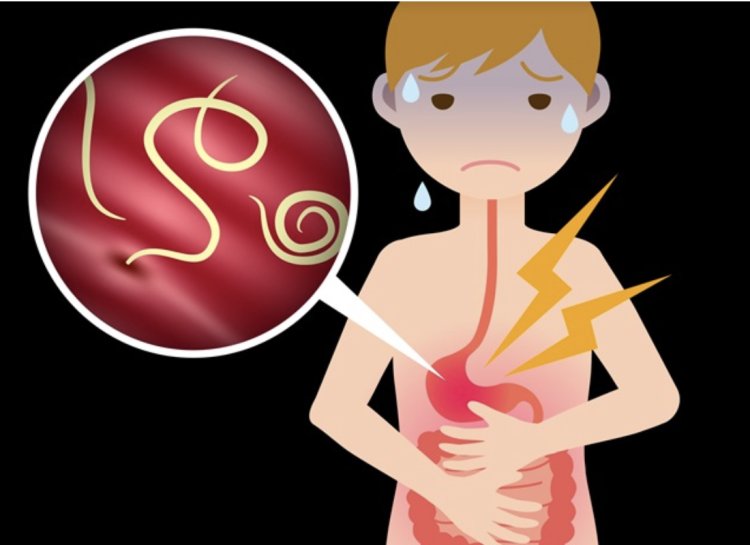 The Hidden Dangers of Parasitic Worm Infections