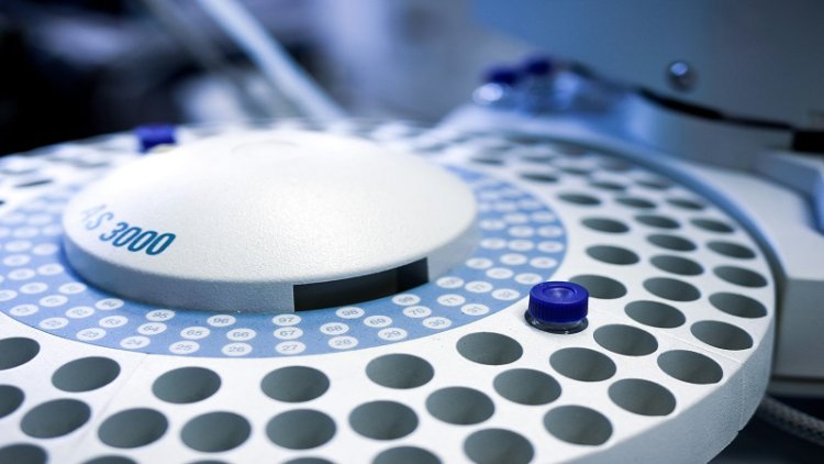 Decoding Life's Molecular Switches: How Structural Biology Is Illuminating the Path to Modern Medicine